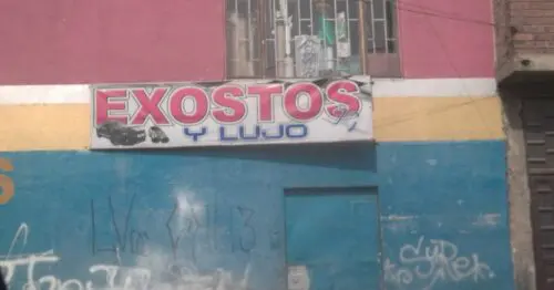 EXOSTOS Y LUJO EXOSTOS Y LUJO